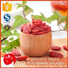 Top sale guaranteed quality dried goji supplier